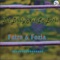 Gani Soney Di (feat. Fozia) - Faiza lyrics