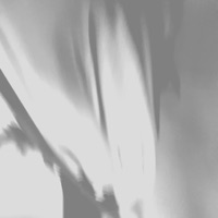 Incisive - Arnaud Le Texier