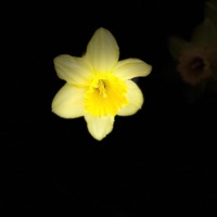 Korkeammalle - Single - Vav Project