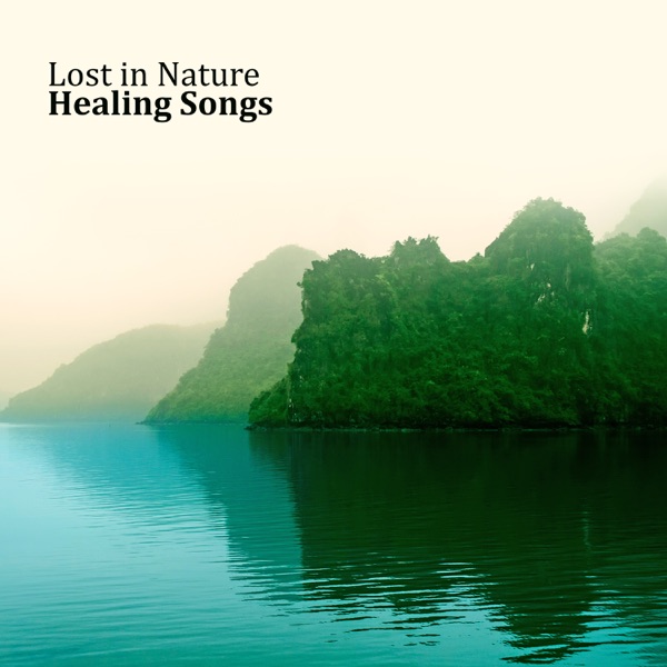 Lost in Nature: Healing Songs, Discover, Meditation, Relax, Natural Sounds