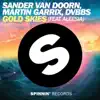 Gold Skies (Tiesto Remix)
