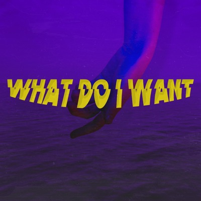 What Do I Want - Single