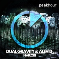 Nairobi - Single - Dual Gravity & Alevid