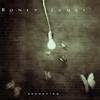 Seduction - Boney James