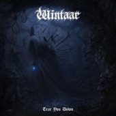 Wintaar - Time Devours Light