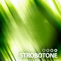 City Meadow — strobotone