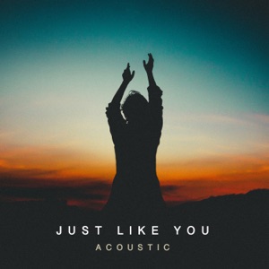 Just Like You (Acoustic) - Single