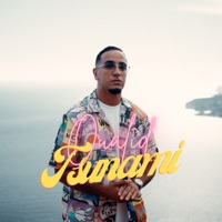 Tsunami - Single - Oualid & Janno