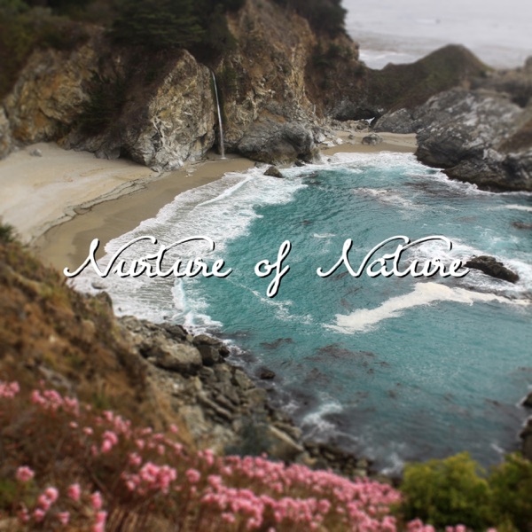 Sounds of Nature