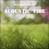 Acoustic Vibe - Romansenykmusic