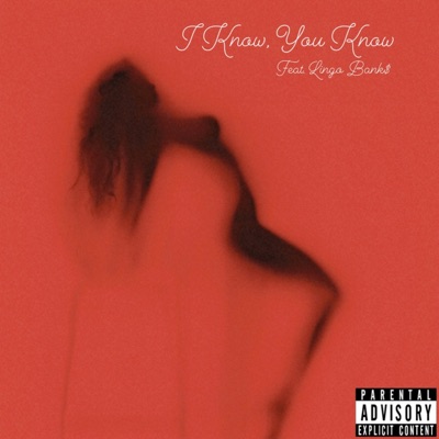 I Know, You Know (feat. Lingo Bank$) - Single