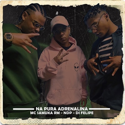 Na Pura Adrenalina (feat. NDP & Di Felipe) - Single