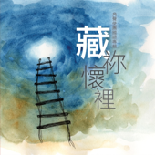 無可比的愛
