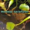 Sub Terrarium - Meowdeep lyrics