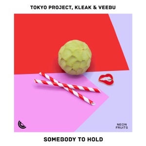 Somebody to Hold - Single