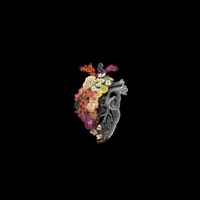 Apenas um Zé Ninguém - EP - José Wellington