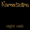 Night Walk (Drum Planet) cover art