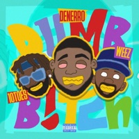 DUMB BITCH (feat. Weez & 10 toes) [Master] [Master] - Single - Denerro