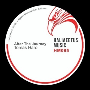 After the Journey - Single