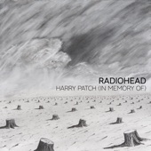 Harry Patch (In Memory Of) - Single