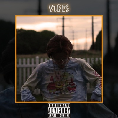 Vibes - Single