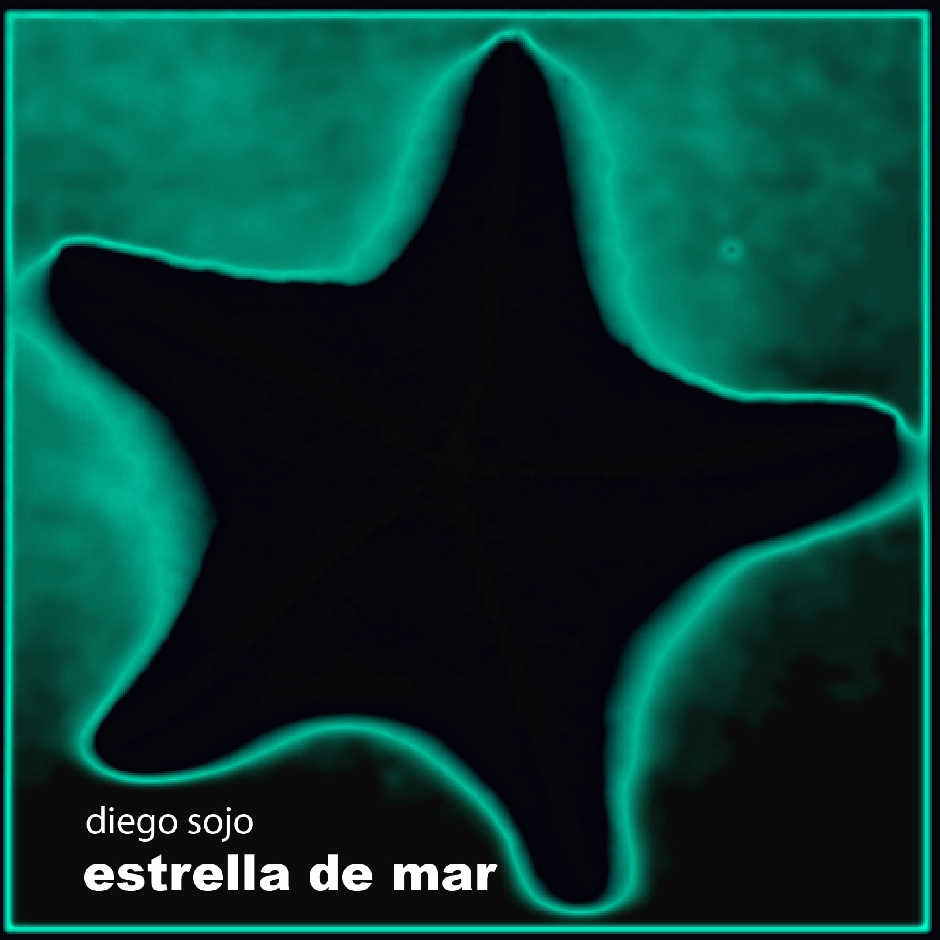 Estrella de mar