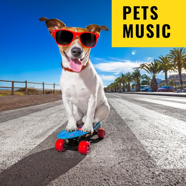 Pets Music (Instrumental)