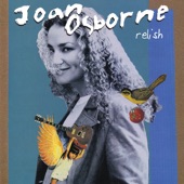 Joan Osborne - Ladder