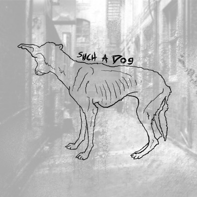 Such a Dog - Single
