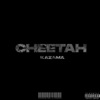 Cheetah - Single