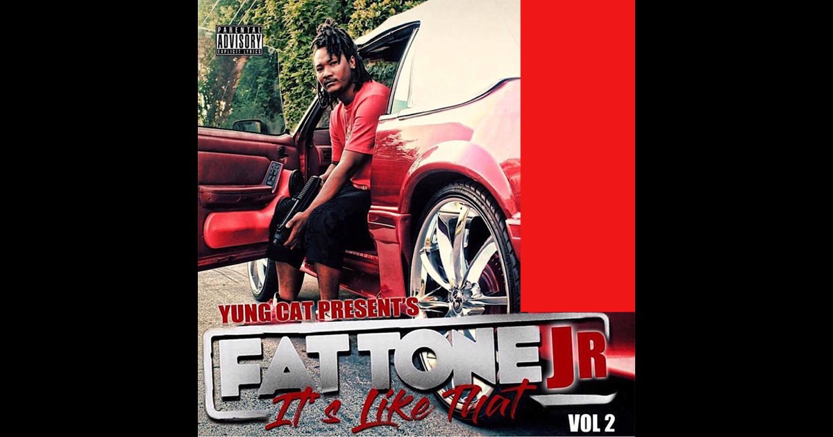 Fat Tone Jr It's Like That, Vol. 2 - Album by Yung Cat