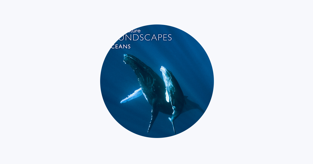 ‎Disneynature Soundscapes - Apple Music