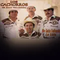 Cachorros