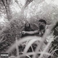 The Warz Outside (feat. Shirt Off Fe) [Remix] [Remix] - Single - Robot Jones