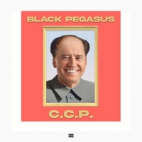 C.C.P. - Single - Black Pegasus