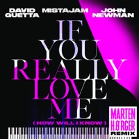 If You Really Love Me (How Will I Know) [Marten Hørger Remix] - Single - David Guetta, MistaJam & John Newman