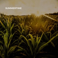 Summertime - Seth Benjamin