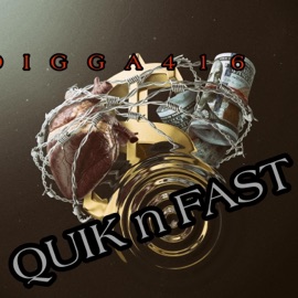 QUIK n FAST Digga 416