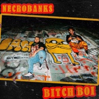 Bitch Boi - Single - Jaybella Bank$ & Necromanny
