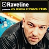 Raveline Mix Sessions 017, 2010