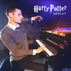 Harry Potter Medley: Hedwig's Theme / Harry's Wonderful World - Peter Bence