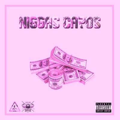 Niggas Caros - Single