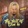 Dan Lu - for a reason