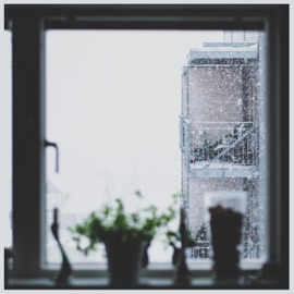 You're the Reason (feat. Limbo) Chris Wright