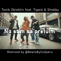 Nu stim sa pretuim (feat. Tigaie & Shobby) [Remix] [Remix] - Single - Tonik Obiektiv