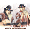 Música Andina Peruana - Andina Peruana
