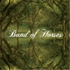 Band of Horses I Go to the Barn Because I Like The Everything All the Time
