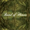 Band of Horses