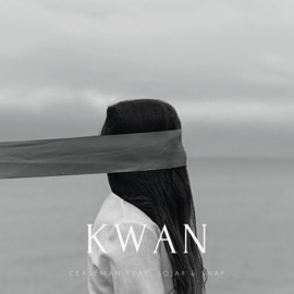 KWAN (feat. Sojar & Snap) Ceaseman