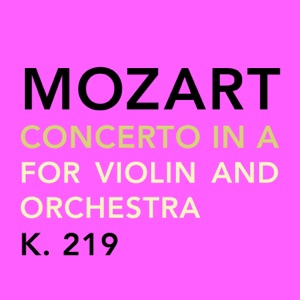 Concerto in A Major for Violin and Orchestra, K. 219: I. Allegro aperto